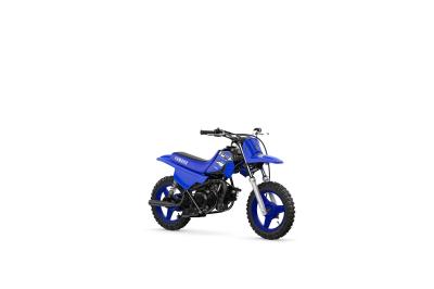 YAMAHA PW50